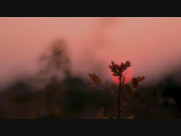 星の紡ぎと手向歌  / 初音ミク