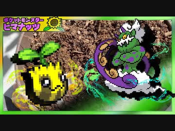 【実況】ヒマナッツがひん死になったら現実で向日葵を育てる縛り（BW版・Part㉒）