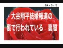 24・3・2　閣議決定　これは　共産国だ。