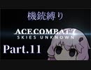 【AC7機銃縛り：Part11】ゆかり隊と3分の1の尻と犬とゆかり【結月ゆかり実況プレイ】
