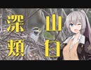 【３分沼落ち動画投稿祭】この1羽！「ミヤマホオジロ」