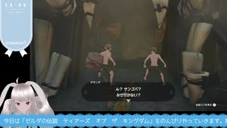 【生放送アーカイブ】パンツ一丁になったり満月探したりトロッコランドで遊んだりしたティアキン生放送17回目【1/9】