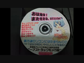 ぱちゅりー「あれ？私貧乳じゃね？」