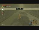 ゼルダの伝説　ブレス オブ ザ ワイルド　実況プレイPart205