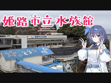 水族館でのんびり両爬のお話 - 姫路市立水族館
