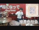 （薬屋のひとりごとOP）【緑黄色社会】花になって-Be a flower 叩いてみた！〈クリタ〉
