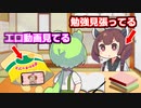 勉強するフリして工口動画見てるずんだもん