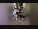 Funny Reaction Fails  Try Not To Laugh 2023.