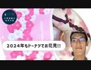 ミスドの新作桜ドーナツで、特別ゲストを招いてお花見した~