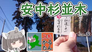 【上毛かるた：な】きりたんの上毛かるたん！～中仙道しのぶ安中杉並木～【東北きりたん】