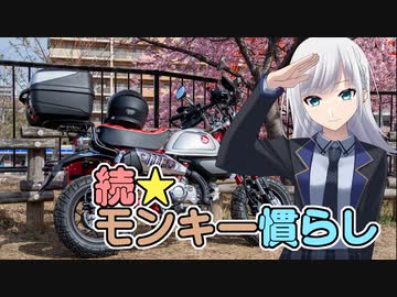 続・モンキー慣らし
