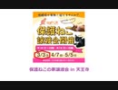 保護ねこの家譲渡会 in 天王寺