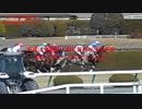 UMAJO？競馬予想「2024弥生賞ディープインパクト記念編」