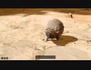 [Baldur's Gate3/BG3]空洞の歯が欠けたネズミさん[日本語]