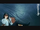 HITOMIN ‐   Butterfly