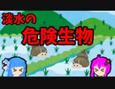 第70位：【VOICEROID解説】ゆかり先輩と見る危険生物【淡水編⑤】