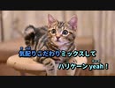 【ニコカラ】ハリケーンミキサー【off vocal】