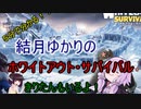 ５分くらいで分かる広告のゲーム＃85　ホワイトアウト・サバイバル