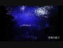 【素材BGM】 ふわふわ不思議な謎を感じる曲 「深海の底で」 【フル×２回】