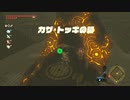 ゼルダの伝説　ブレス オブ ザ ワイルド　実況プレイPart206