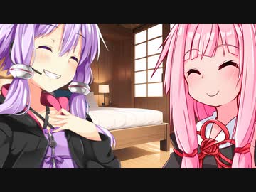 ダウングレードできました！