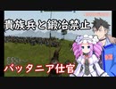 【Mount & Blade 2】貴族兵と鍛冶禁止縛りを立ち回りだけで実況プレイ　＃５