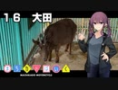 【夏色花梨車載】まちカドばいく ［16］大田