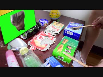 チピチピチャパチャパ - 家にあったゴミで叩いてみた【猫ミーム】