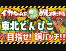 東北どんぴこ  目指せ! 銅バッチ!!【イカちゃんをめしどきにやる】