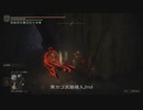 エルデンリング TMCターニッシュドメイクライ侵入part145