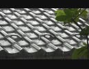 屋根に打ち付ける激しい雨