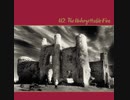 U2 - MLK