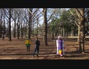 【代々木公園】Bad Apple【踊ってみた】