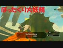 #119【ゼルダの伝説 ブレス オブ ザ ワイルド】あまりの高額請求に震える！