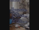 音楽作ってみた♯∞