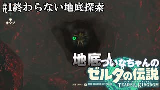 【ティアキン】地底人ついなちゃんのティアーズオブザキングダム①｢終わらない地底探索｣