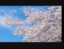 Blossom【歌:広瀬悠希】