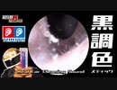 本物耳かきイヤースコープ/黒調色スティック