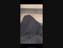 windy skirt 04