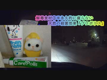 解毒は腸内環境を良くすること！食品や身体に使う物も見直そう！まがい物は淘汰される...