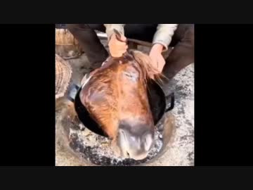 ホモと見るなんでも食べてしまう中国人