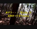 (普通に現状報告しながら見廻り回)変態忍者の、有害鳥獣駆除従事活動記・その２７６