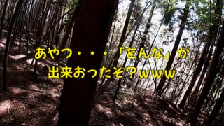 (普通に現状報告しながら見廻り回)変態忍者の、有害鳥獣駆除従事活動記・その２７６