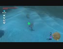 ゼルダの伝説　ブレス オブ ザ ワイルド　実況プレイPart207