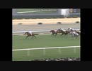 1995 報知杯４歳牝馬特別　ライデンリーダー