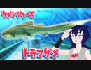 【サメンジャーズ】トラフザメ