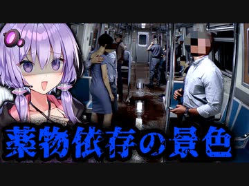 リアルな電車内が不気味すぎるホラーゲーム『Fractured Mind』【VOICEROID実況/結月ゆかり・紲星あかり】