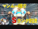 【AC6】マンムー様への愛と情熱を具現化した機体で無事Sランク到達を果たした動画【アーマードコアⅥ】