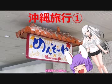 【ゆっくり旅行動画】沖縄旅行①