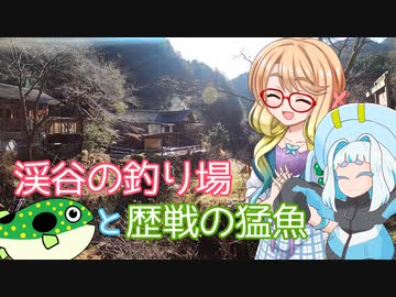そらさんと釣りの思い出３４ ～渓谷の釣り場と歴戦の猛魚～
